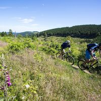 biker-tolle-aussicht c) Paul Schanze Sauerland Tourismus.jpg