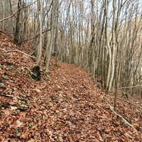 24.5 km Single oberhalb des Waidhofenbaches