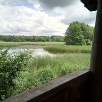 Unkenpfad Litzenteich_Ausblick vom Beobachtungsturm