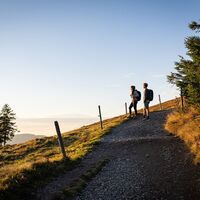Aussichtsreiches Wandern am Feldbergsteig