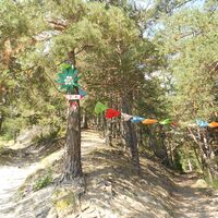 Weg Cesana - Fenils