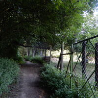 Lobau/Lobgrund - Groß Enzersdorf