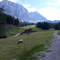 Arche Alm