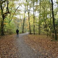 Wanderwege auf der Sechs-Seen-Platte in Duisburg
