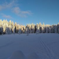 Schutzenbergmoor unter Schnee