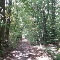Wanderweg LA1