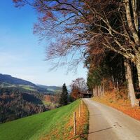 Wildschönau Tourismus Glantersberg Straße Gewi.jpg