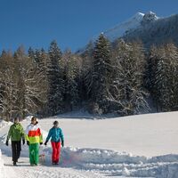 Winterwandern auf der Panorama-Runde in Inzell