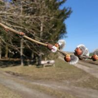 Remptendorf - Ruhteich - Friesauer Hügel