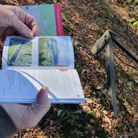 Broschüre mit Impulsen zum Klosterweg