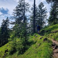 Wanderweg in der Nähe des Karwendelsteges und dem Karwendelbach.jpg
