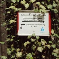 Möglicher Abstecher Wanderweg 7 zum Burgberg Liebenburg