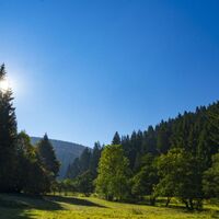 Tal bei Willingen