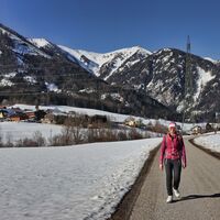 Der Reiting im Hintergrund