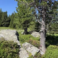 Typisches Nockberge-Stilleben