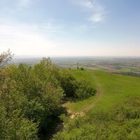 Waschberg