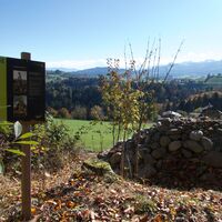 Wald Wahlern - Schwarzwasser-Sense-Schluchtenweg Etappe 1