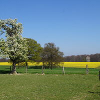 Impressionen vom Obstweg
