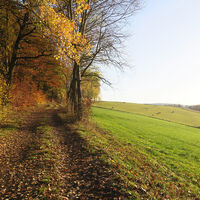 Haukuppenweg 07