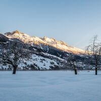 Winterwandern in Surrein