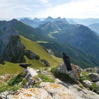 Ausblick vom Aggenstein