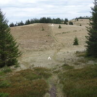 am Weg zum Harterkogel