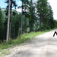 auf der Forststraße hoch