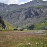 Valfredda