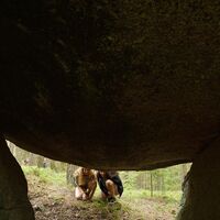 Bärentrail im Waldviertel - der neue Sidestep "Felsengarten", Steinerne Stube