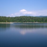 Forstsee