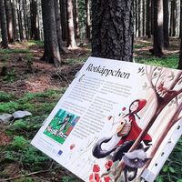 Märchenwiese-Rotkäppchen_Fischbach_Oststeiermark