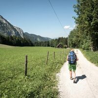 Abstieg vom Richtung Sankt Gallen