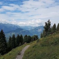 Ausblick vom Sonderdach