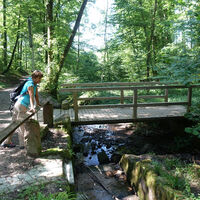 Brücke am Burgwiesenbach