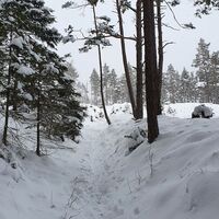 2.2 km Hohlweg von der Pottschacher Hütte