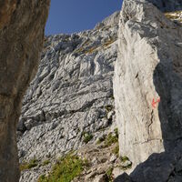 der Steig bietet immer wieder Überraschungen