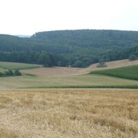 Blick auf Mechenharder Feld