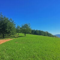 Am Brennersteig