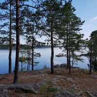 Lammassaari