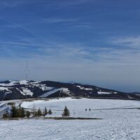 Speicherteich mit Windrad