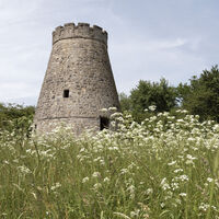 Widmühlenstumpf CC BY-SA - LTM.jpg