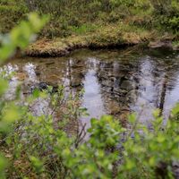 Frühling in Iivaara, Kuusamo