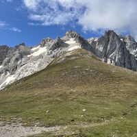 Wiese auf der Riffelscharte