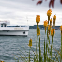 Bodenseeimpressionen