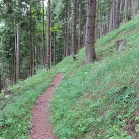 Aufstieg am Steig zum Pinkenkogel
