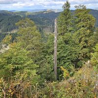 Blick nach Norden