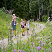 Wildschönau Thierbach Koglweg