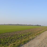 Retour Richtung Wagram