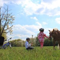 Leipzig-Elbe-Radroute