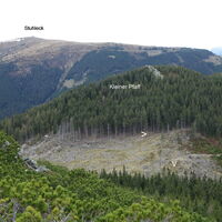 Rückblick "Kleiner" zu "Großer Pfaff"